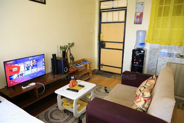 Tastefully Furnished Studio With Amazing Views - thumbnail 16