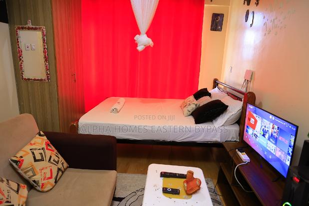 Tastefully Furnished Studio With Amazing Views - thumbnail 15