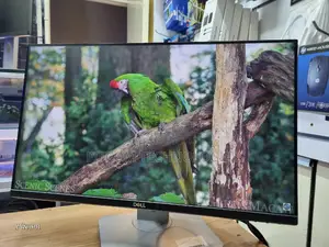 Dell 23 Inch TFT Monitor Edge to Edge