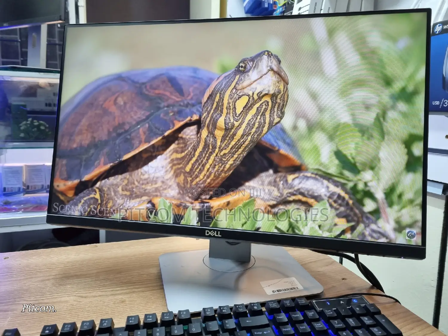 Dell 23 Inch TFT Monitor Edge to Edge