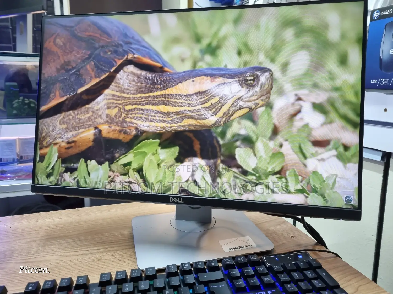 Dell 23 Inch TFT Monitor Edge to Edge