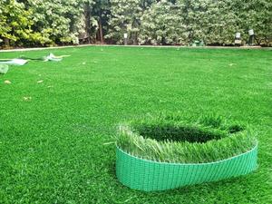 Artificial Grass Carpet Green Grass Carpet Grass Carpet - thumbnail 2