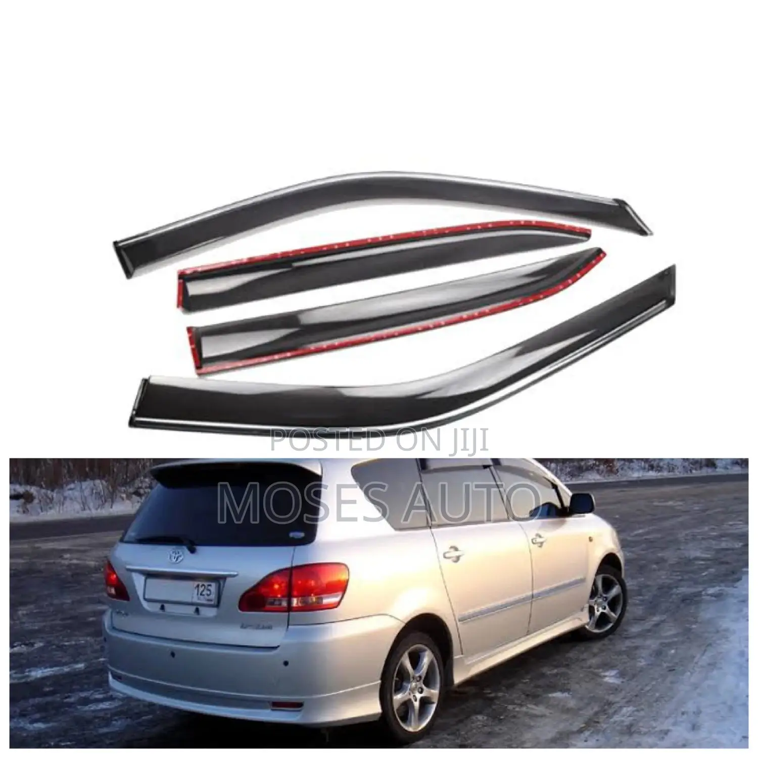 Toyota Ipsum Windbreakers