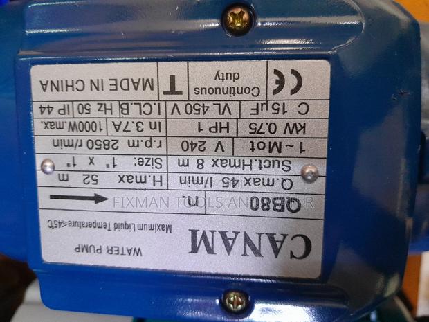 Canam 1hp Water Pump # Pumps - thumbnail 2