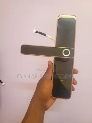 Smart Hospitality Airbnbs Biometric Smart Locks