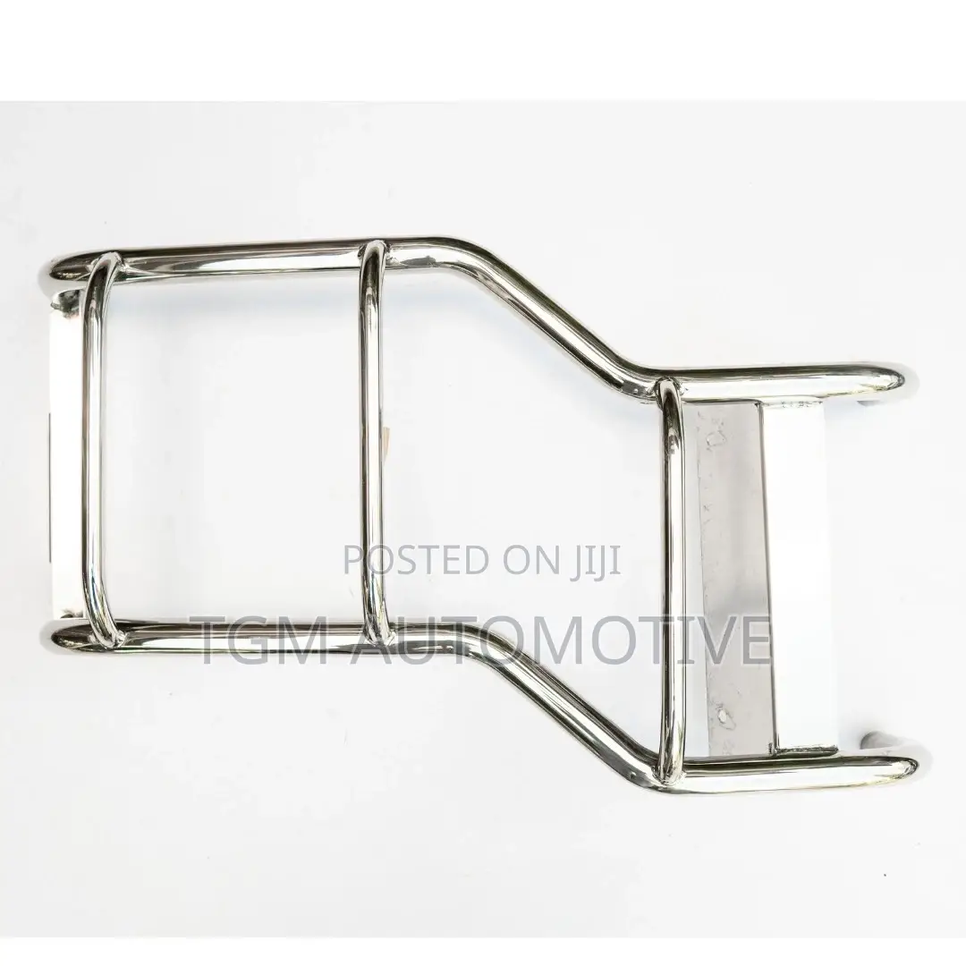 Car Back Ladder