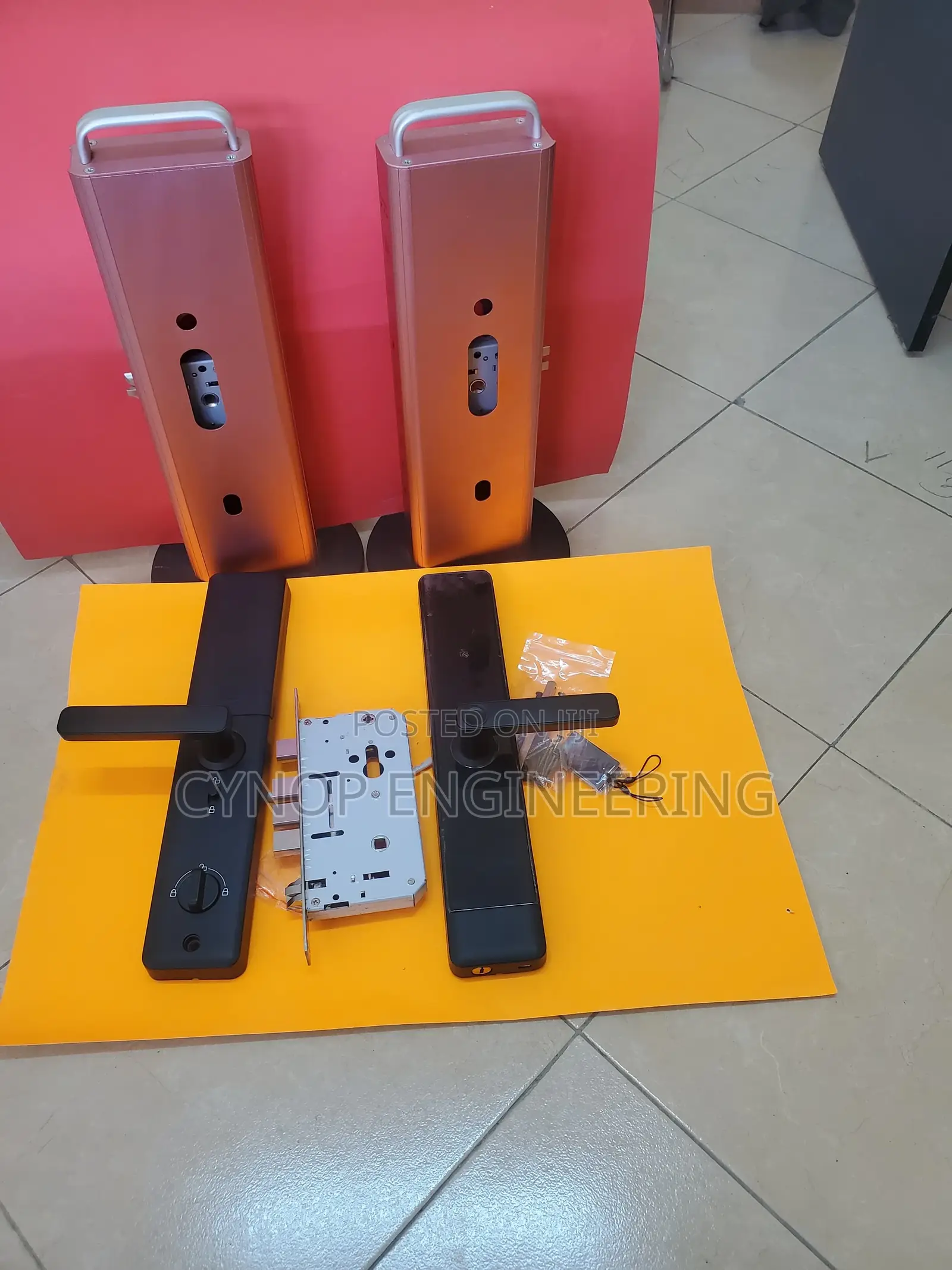 Biometric Innovations for Wooden Door and Steel Doors