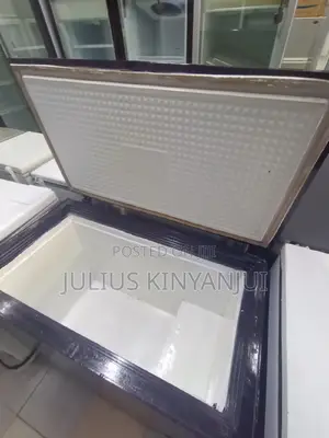 350L Deep Freezer