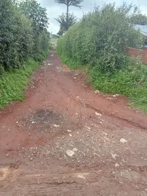 Land on Sale at Limuru Kamirithu