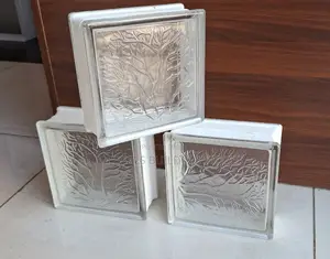 Clear Glass Block (19.0×19.0X8.0)Cm