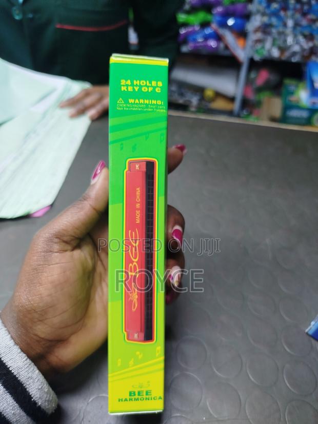 24 Holes Harmonica - main view