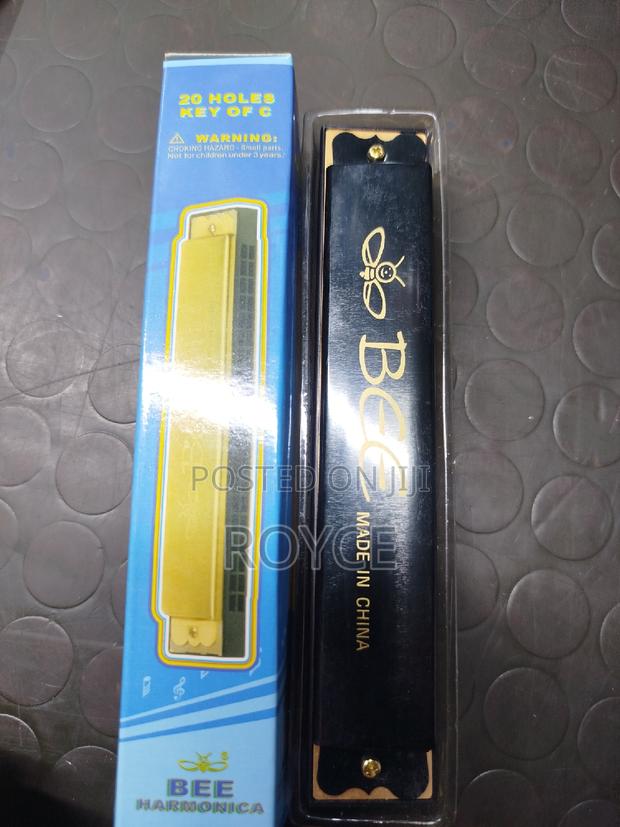 20 Holes Harmonica - main view