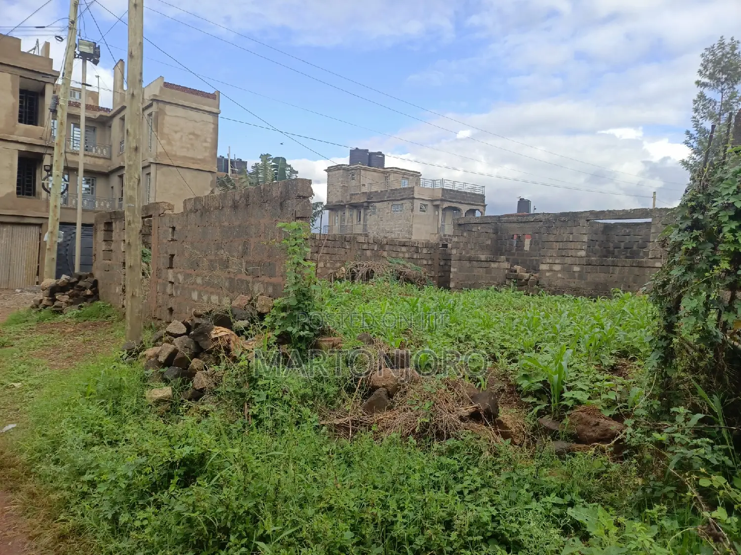 Ruiru Murera