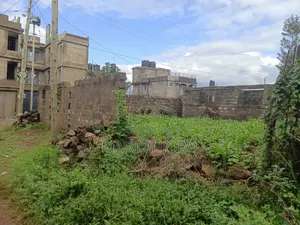 Ruiru Murera