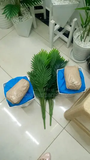 Palm Trees and Vases Plus Stones