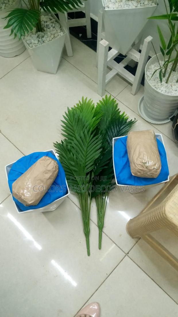 Palm Trees and Vases Plus Stones - main view