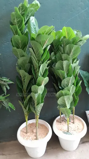 Southern Magnolia Leaf Plant With Plastic Vase