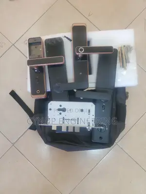 Modern Convenience Biometric Locks for Hotel Room Security