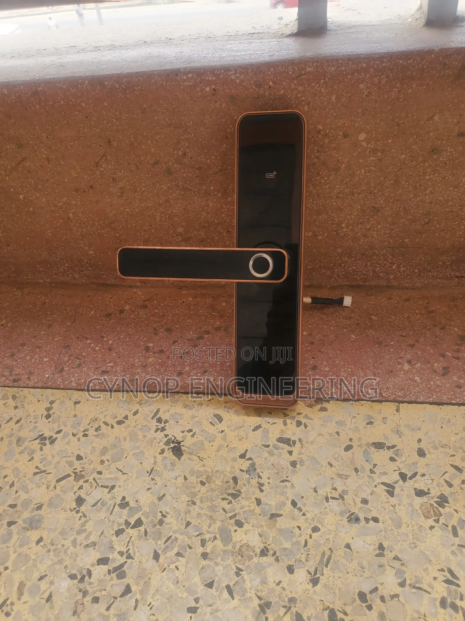 Biometric Locks for Hotel Room Reassurance