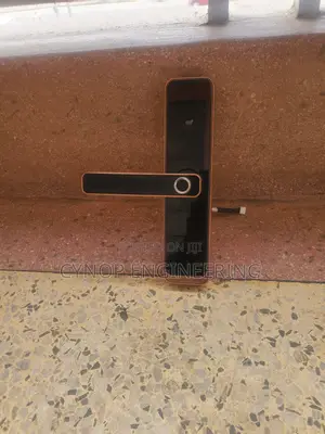 Biometric Locks for Hotel Room Reassurance
