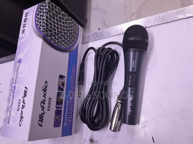 Legendary Vocal Microphone Ally Audio (E845s Model)
