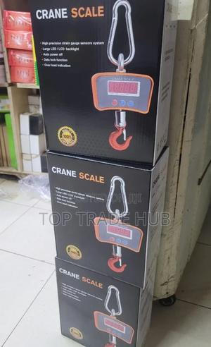 500kg Mini Crane Scale - thumbnail 2