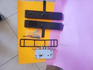 Steel Topsec Biometric Smart Door Lock