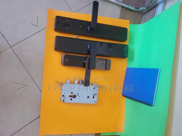 Battery-Powered Smart Door - main view