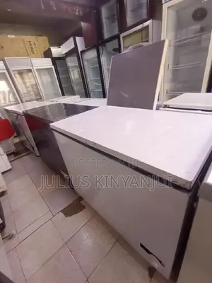 300L Deep Freezer