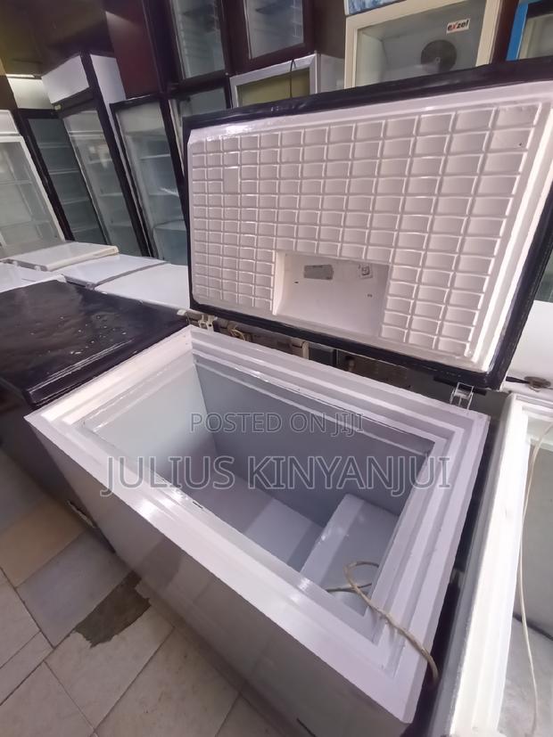 300L Deep Freezer