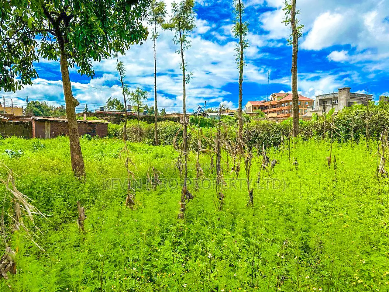 Plot for Sale in Kikuyu, Gikambura.