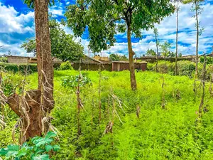 Plot for Sale in Kikuyu, Gikambura.