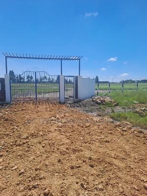 Genuine Katani Plots - thumbnail 2