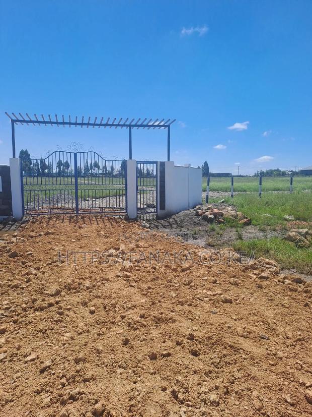 Genuine Katani Plots - main view