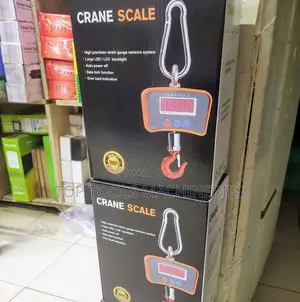 500kg Mini Crane Scale