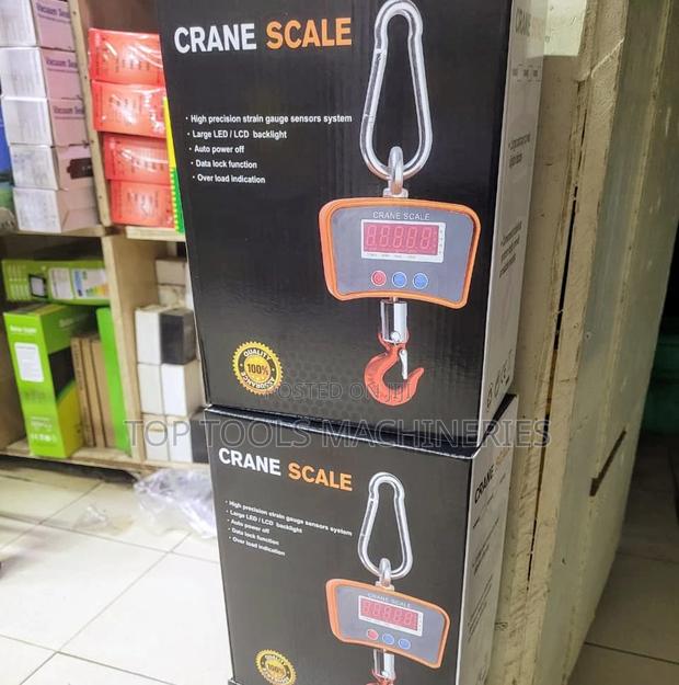 500kg Mini Crane Scale