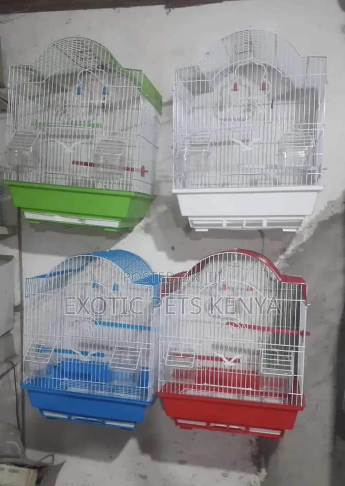 Bird Cages