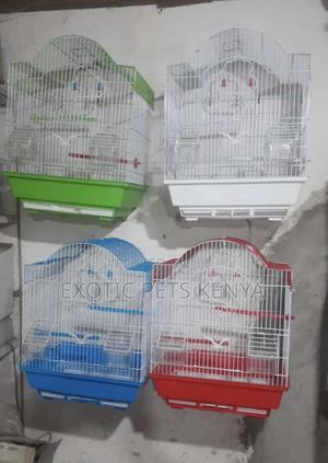 Bird Cages - thumbnail 2