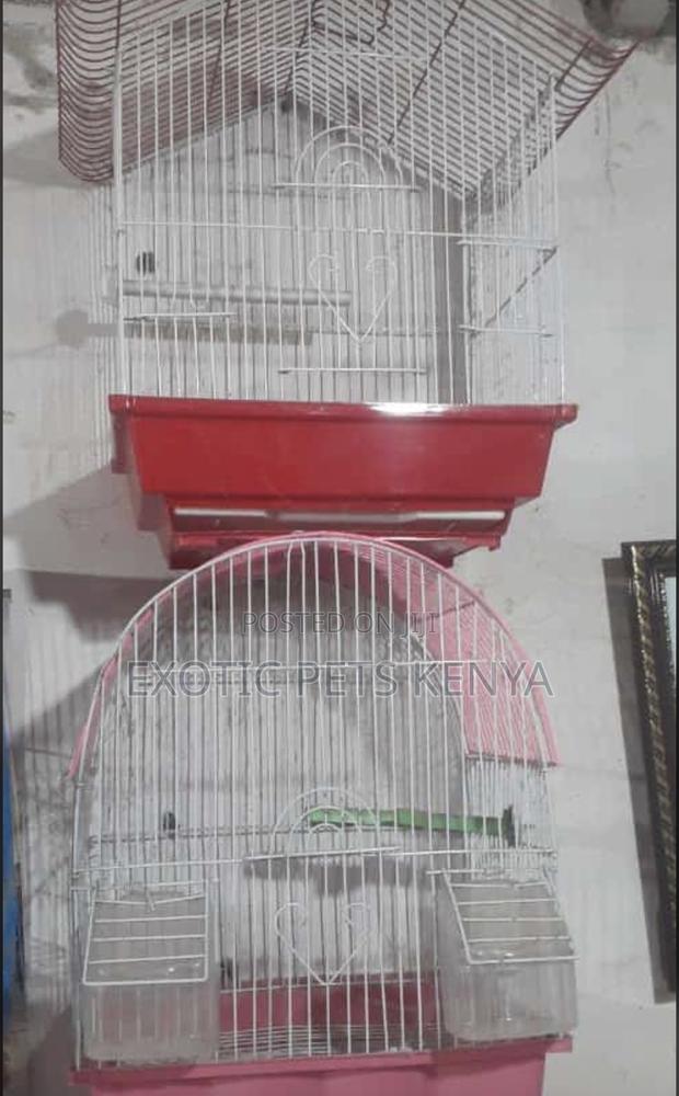 Bird Cages - thumbnail 3