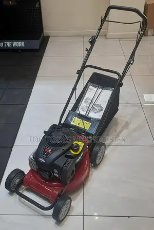 WYS21 Briggs and Stratton 21 Inches 6hp Self Propelled 161c