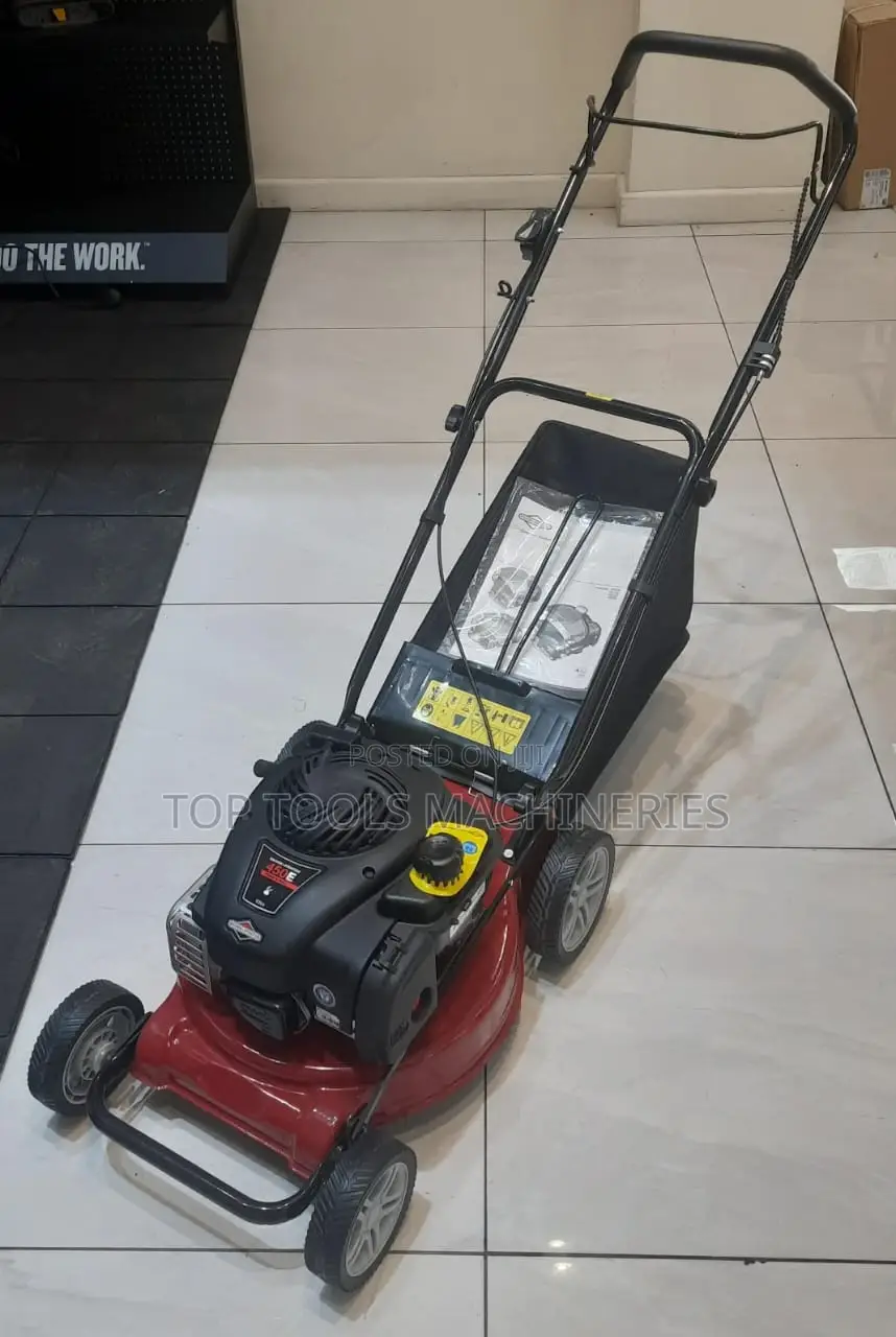 WYS21 Briggs and Stratton 21 Inches 6hp Self Propelled 161c