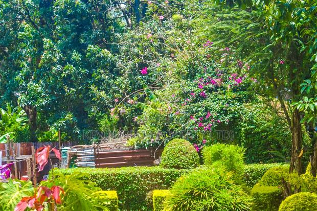 1/4 Acre Commercial Plot for Sale in Kinoo 87. - thumbnail 6