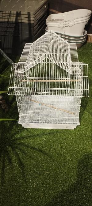 One Parrot Cage Parrot Cage - thumbnail 2