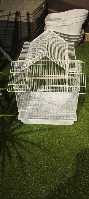One Parrot Cage Parrot Cage