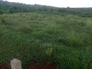 Premium 50*100 Plot Available - Ideal for Residential or Commercial Development