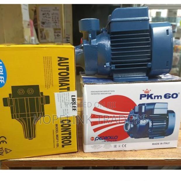 Pedrollo Water Pump - main view