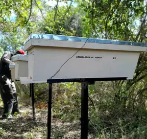 Kenya Top Bar Hive