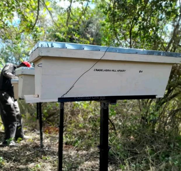 Kenya Top Bar Hive - thumbnail 5