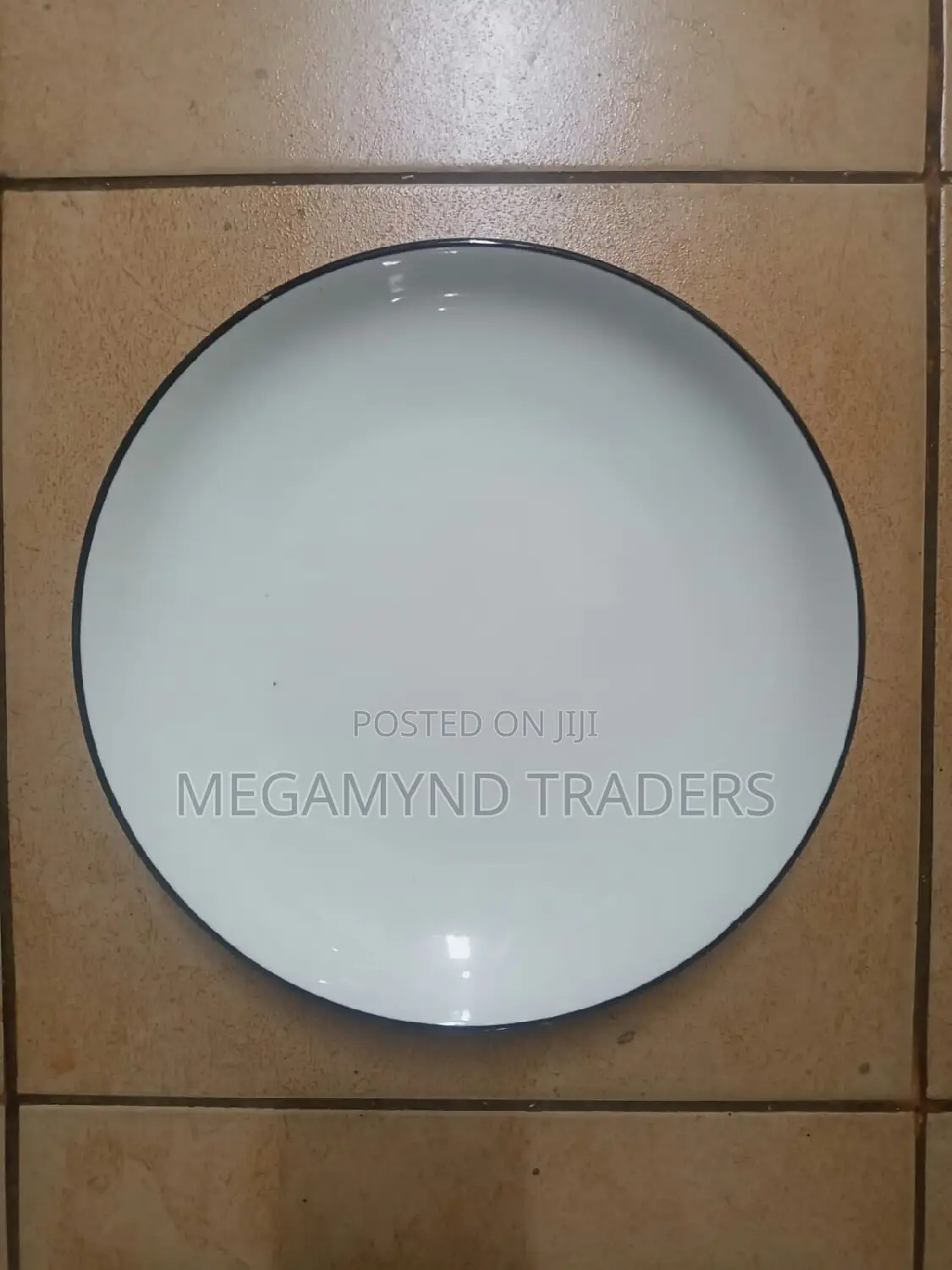 6pc Ceramic Dinner Plates / Plates