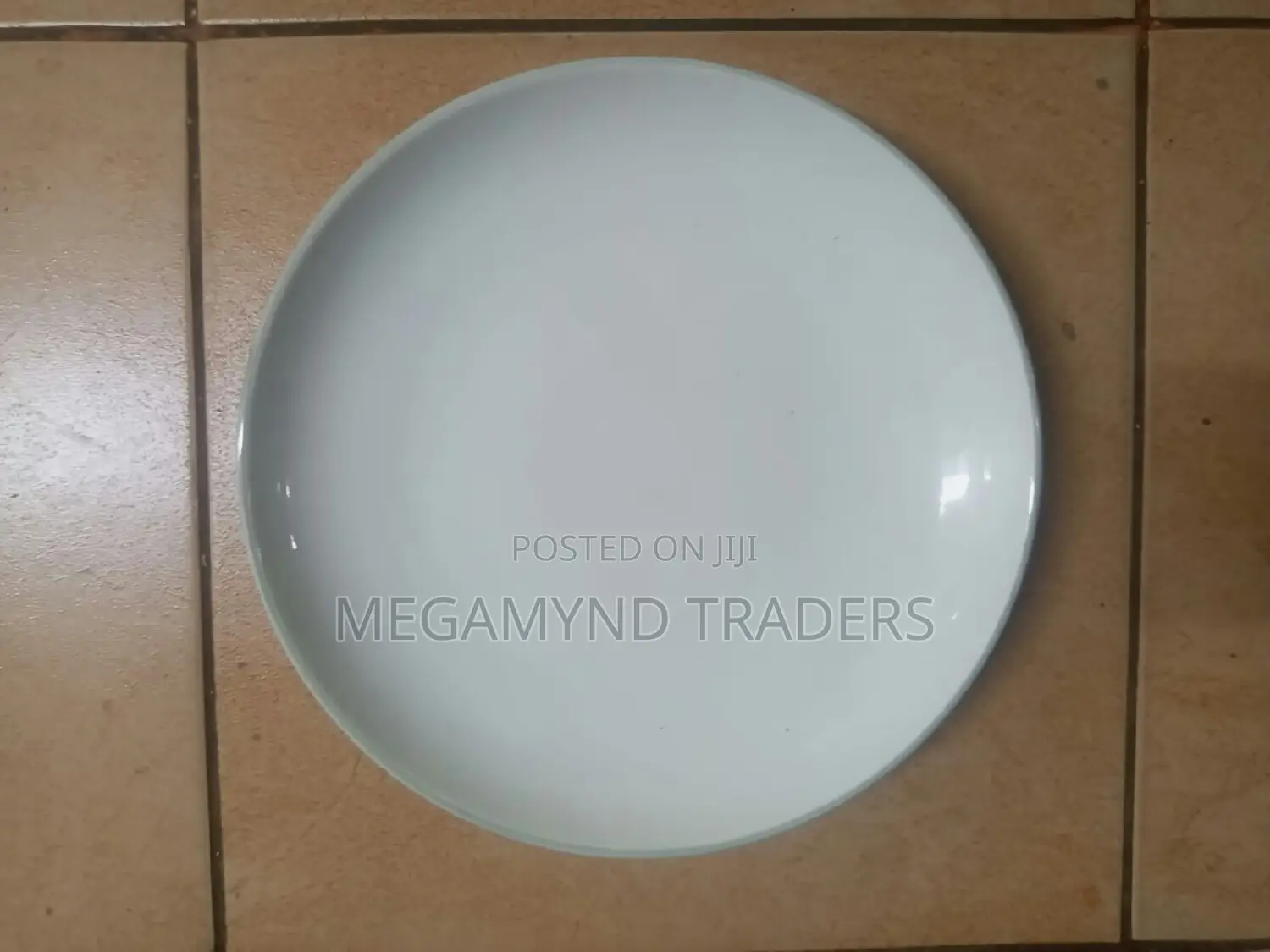 6pc Ceramic Dinner Plates / Plates